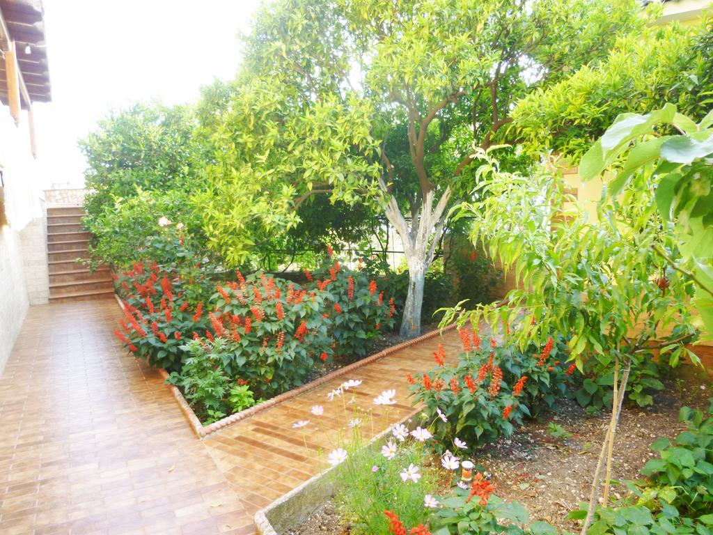 Vila Altini Borsh Exterior photo