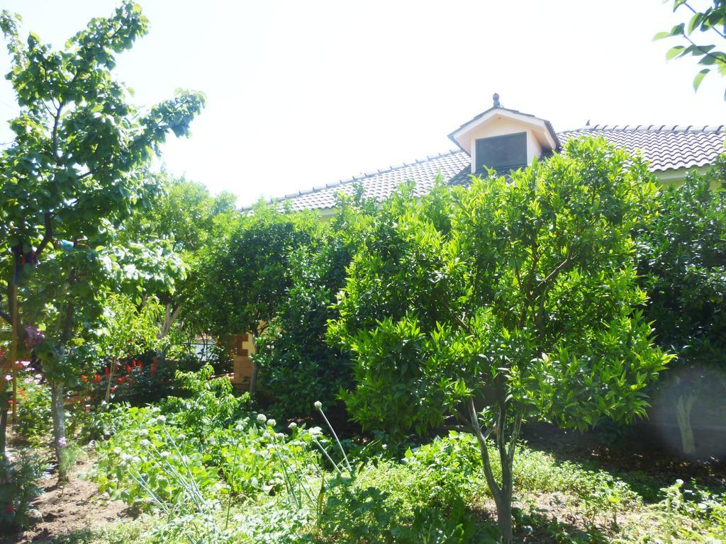 Vila Altini Borsh Exterior photo