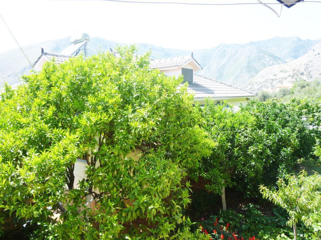 Vila Altini Borsh Exterior photo